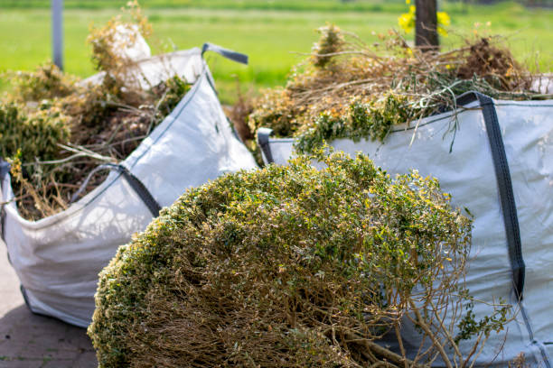 Best Estate Cleanout  in Iselin, NJ